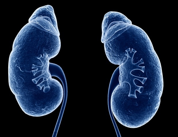 High blood levels of TMAO predicts chronic kidney disease risk in future dlvr.it/T5Jg37