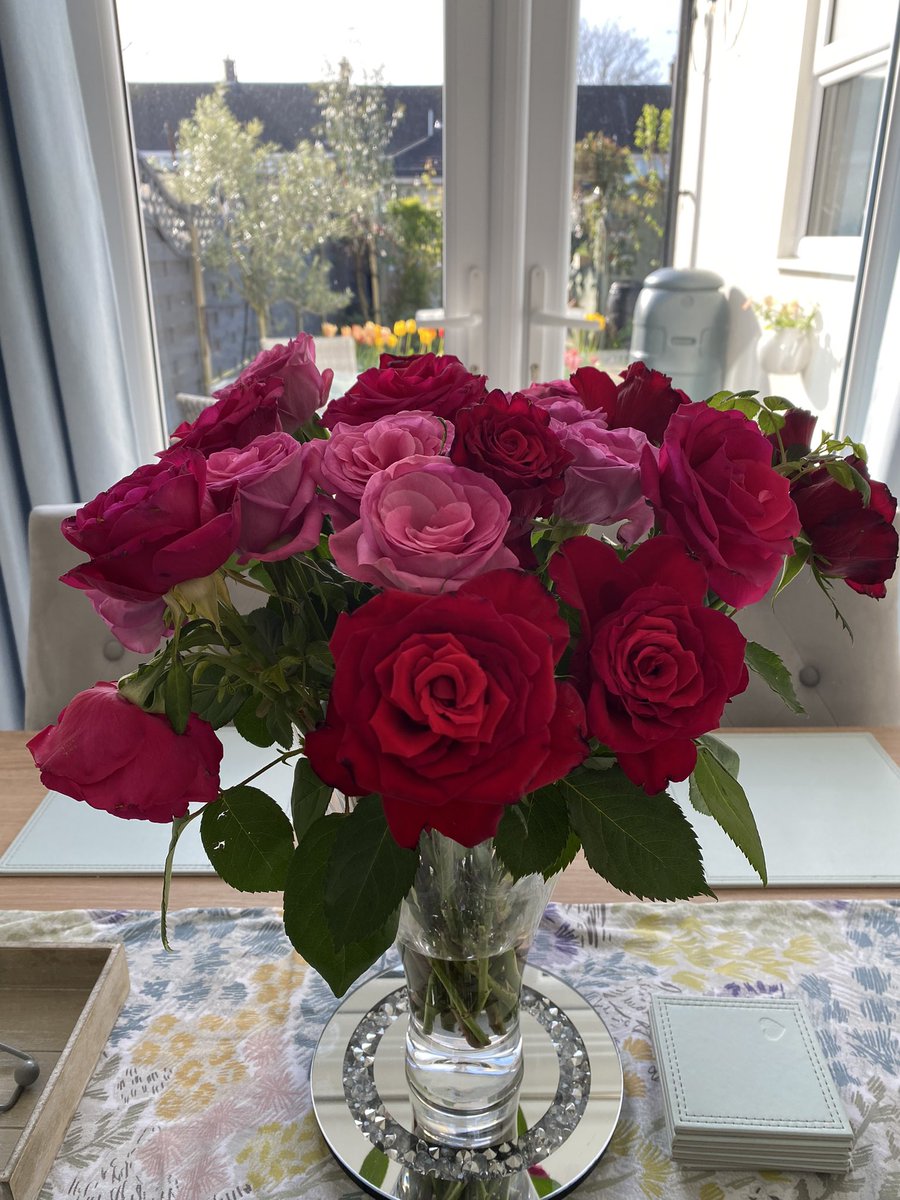 Morning and a happy #RoseWednesday to you all. These roses 🌹 are well over a week old but still brightening up the house. Have a great day everyone 😊