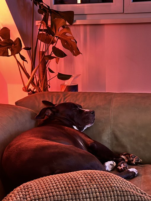 locking my account has improved the vibes tenfold + idk where all the lurkers came from trying to follow