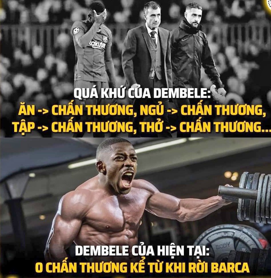 nguyễn tweet media
