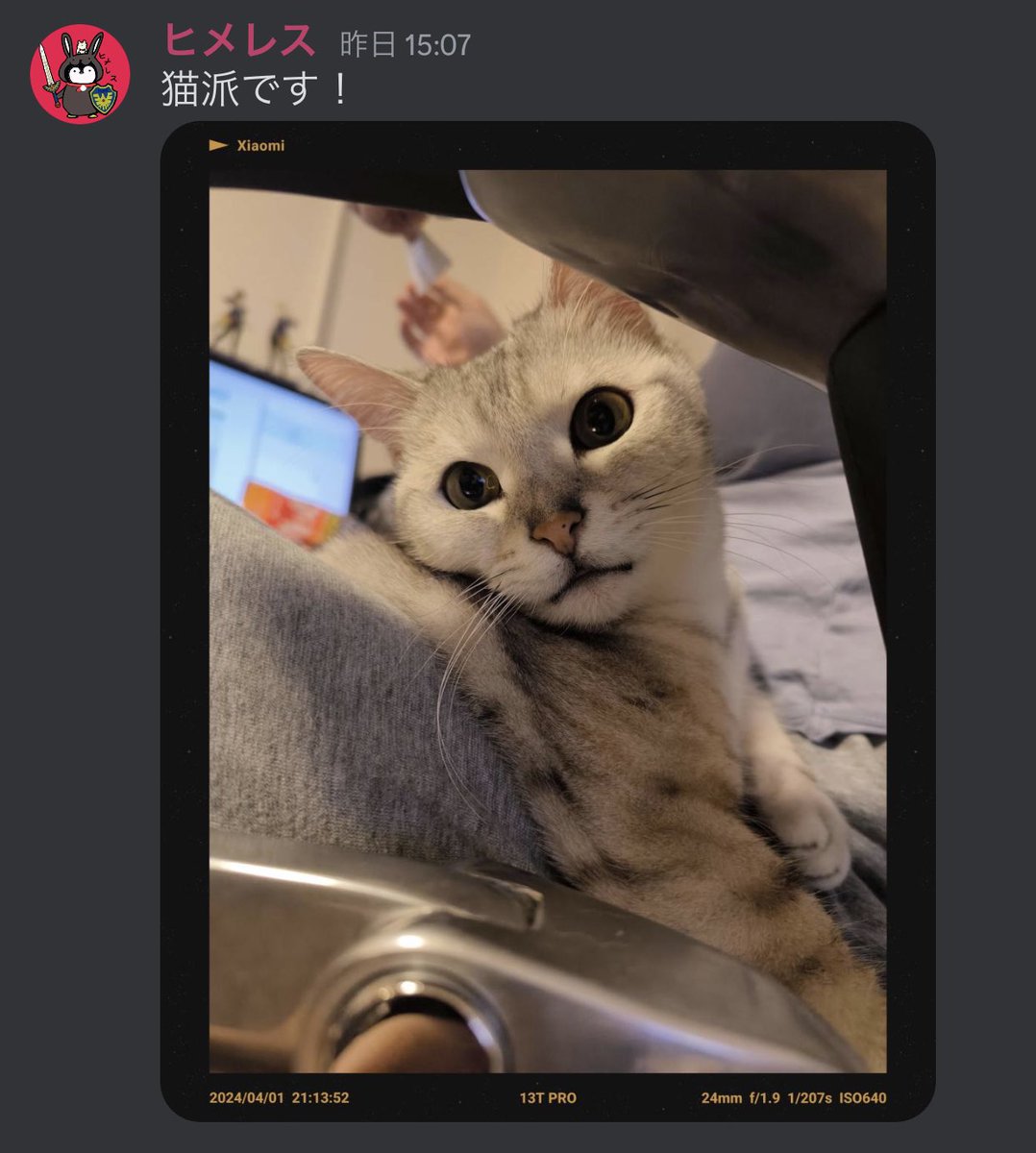 apimeee's tweet photo. @himeresu1 使い回しを確認しました https://t.co/2LlCrM1oEA