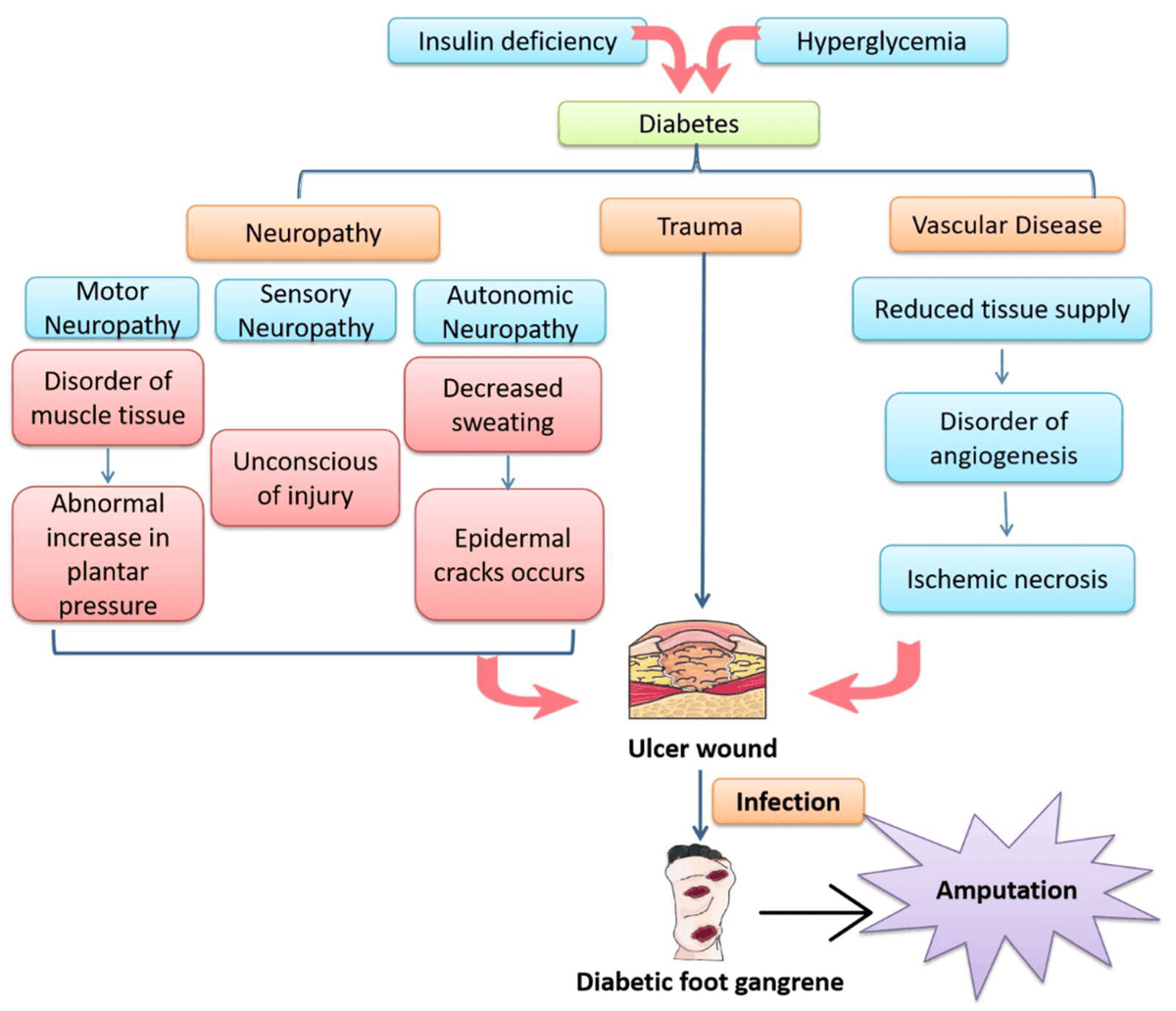 The Signaling Pathways Induced by Exosomes in Promoting Diabetic Wound Healing: A Mini-Review 👥By Ms. Yanying Wang et al. 🏦Zhejiang Chinese Medical University 🔗mdpi.com/1467-3045/44/1… @MDPIOpenAccess #Exosomes #DiabeticWound #diabeticFoot