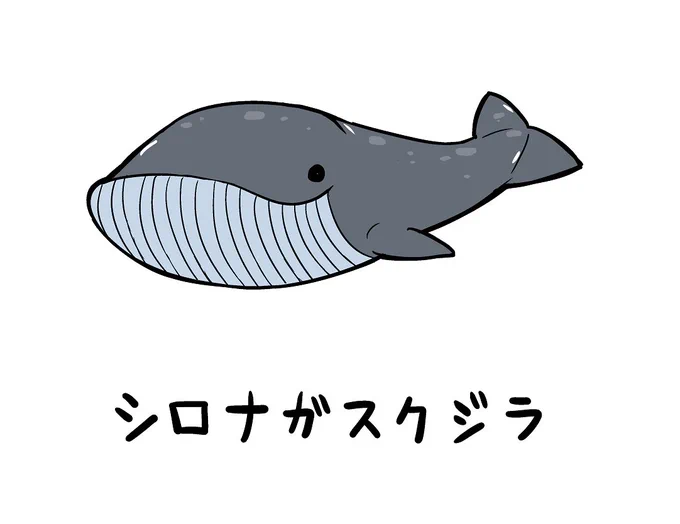 クジラのイラスト 