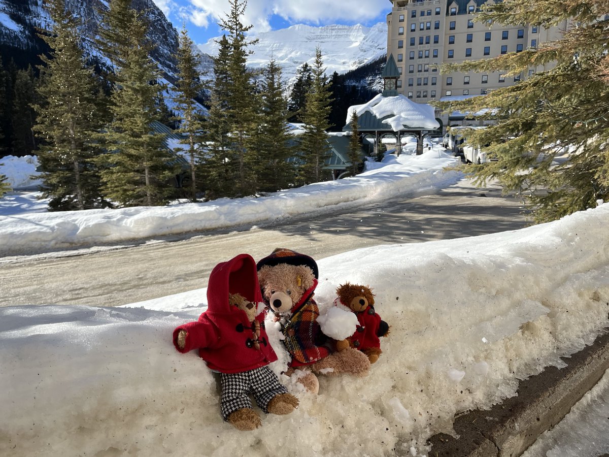 What did you call me? You can't take bears anywhere. No wonder they were banned from the bar. Fairmont Chateau, Lake Louise. #Flynn #FlynnTheBear #FairmontChateau #LakeLouise