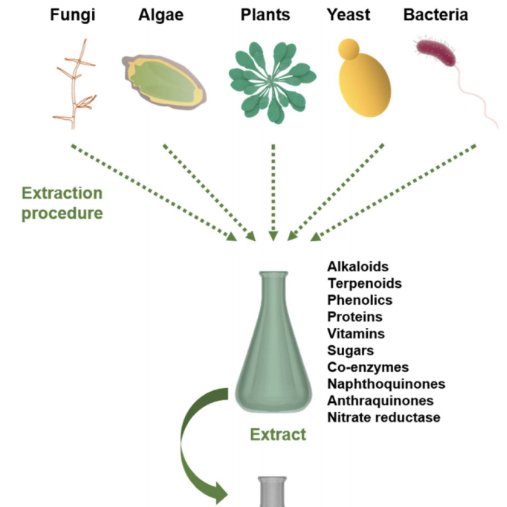 ICRSreefstudent's tweet photo. #TranslationTuesdays #Portuguese #Reefbites
Uso de Algas Marinhas na Síntese de Nanopartículas
🌱🌱🌱
Escrito por Sofia Perez
Traduzido por @mechamoshin
Revisado por @sotobanha
https://t.co/AI0ja5d5Uy https://t.co/pr4gP1C2vl