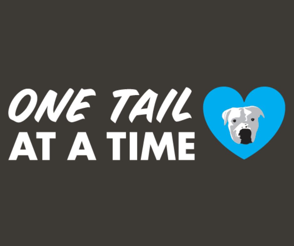 TESA Collective (@tesacollective) on Twitter photo It's National Adopt a Shelter Pet Day and we are teaming up with <a href="/onetailatatime/">One Tail at a Time (OTAT)</a> to say: Adopt Don't Shop.
- One Tail at a Time is a Chicago-based no-kill rescue It's National Adopt a Shelter Pet Day and we are teaming up with <a href="/onetailatatime/">One Tail at a Time (OTAT)</a> to say: Adopt Don't Shop.
- One Tail at a Time is a Chicago-based no-kill rescue