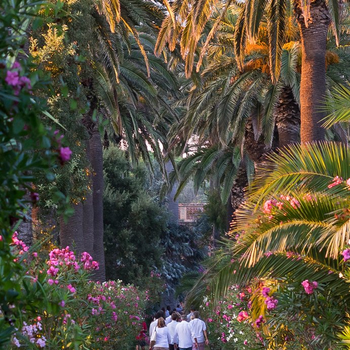 Laissez-vous séduire au cœur du flamboyant jardin du Château de La Moutte 🌸🌴

#musique #festival #sainttropez #ete2024 #summer