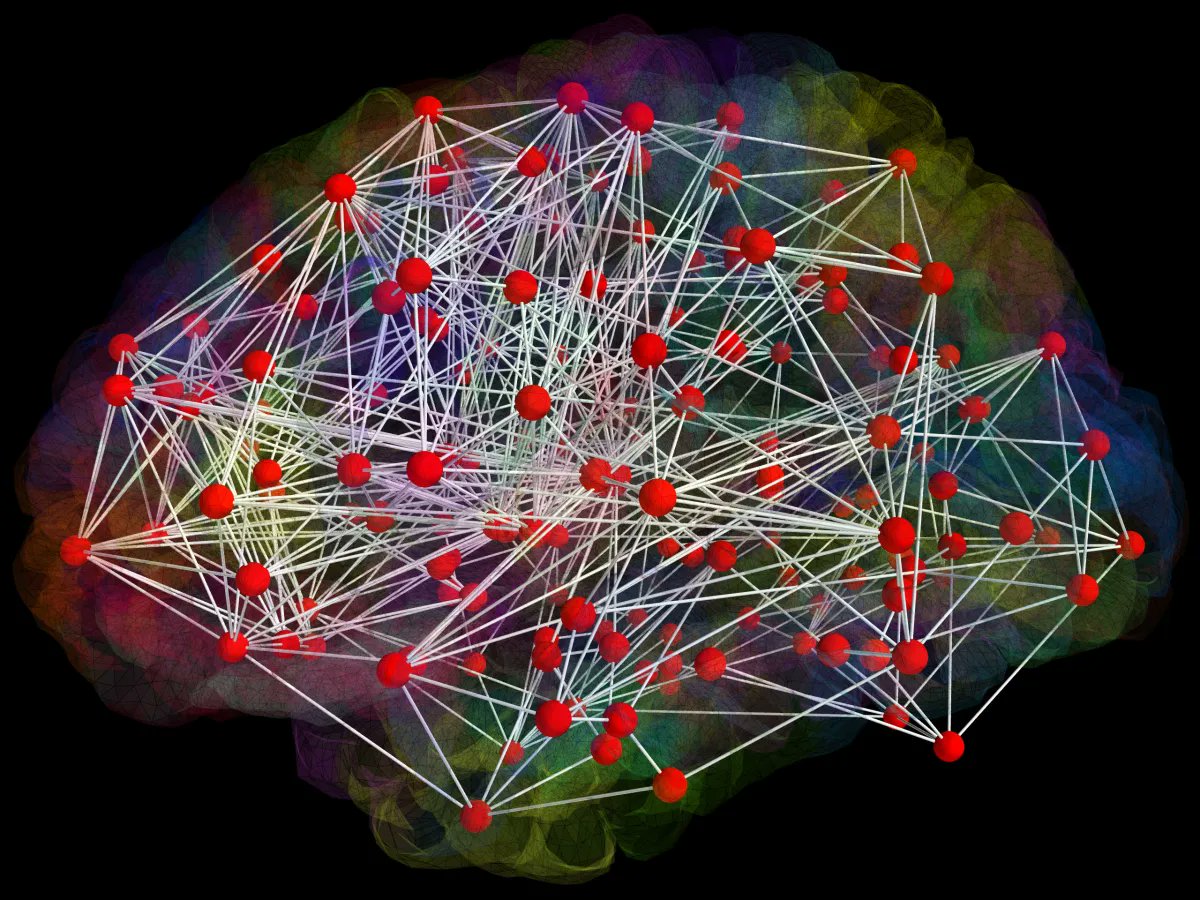 Alzheimer's researchers from Italy have used The Virtual Brain simulator on EBRAINS to model Alzheimer's disease progression in patients. Read more: ebrains.eu/news-and-event…