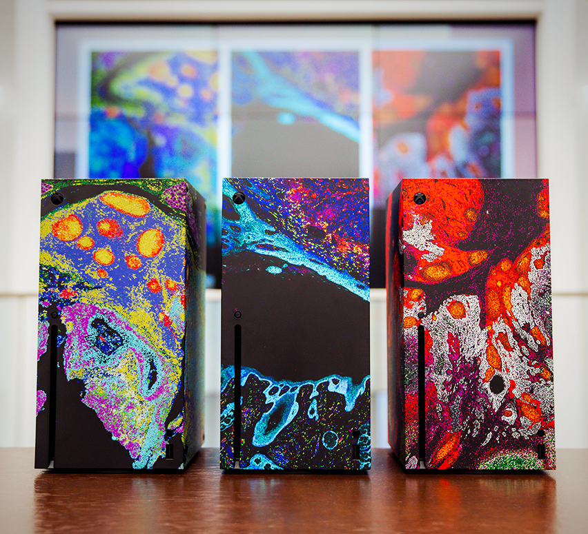 Xbox ANZ tweet media