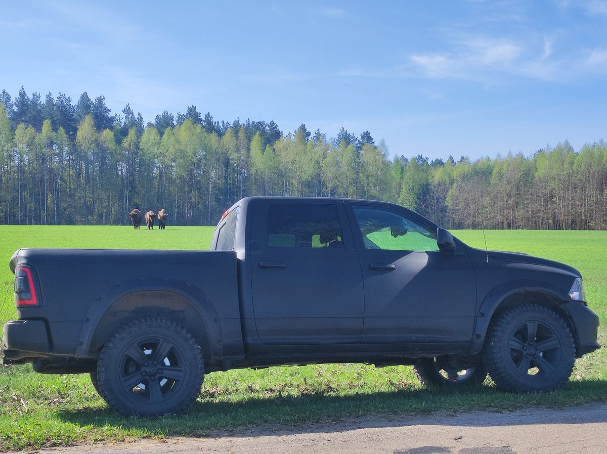 Mówiłem wam - polskie Yellowstone 😅