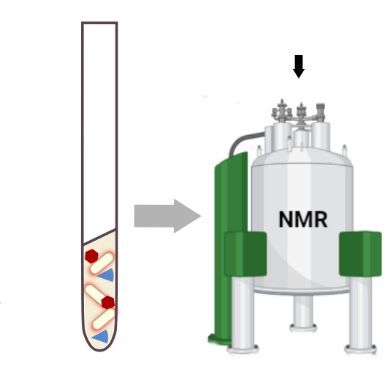 #chimie ⚗️ #ResultatScientifique 📕 🔎 l Comment la #RMN permet de suivre le devenir des #antibiotiques face aux phénomènes de résistance 

🤝 <a href="/IBS_Grenoble/">Institut de Biologie Structurale</a> <a href="/CnrsAlpes/">CNRS Alpes</a> <a href="/UGrenobleAlpes/">Université Grenoble Alpes</a> 
➡️ inc.cnrs.fr/fr/cnrsinfo/la…