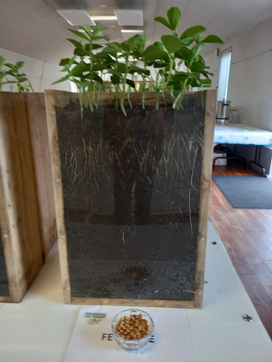 Groupe Sol Vivant 79 tweet media