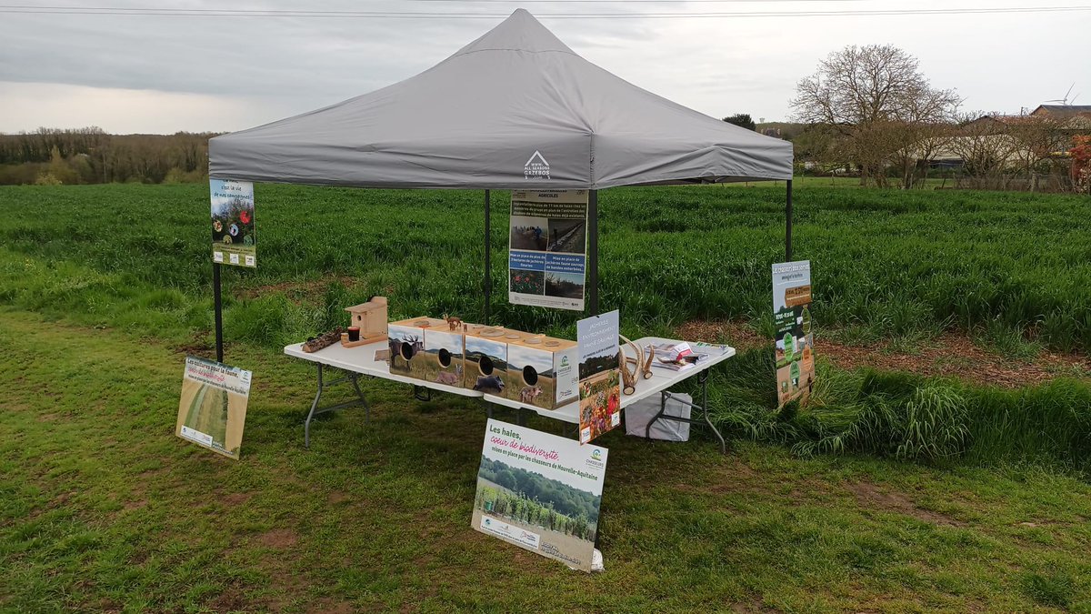 Grand succès pour la 4ème édition de la rand'auchamp avec plus de 200 randonneurs qui sont venus découvrir l'agriculture de conservation des sols ! Des échanges très enrichissants et des randonneurs satisfaits !