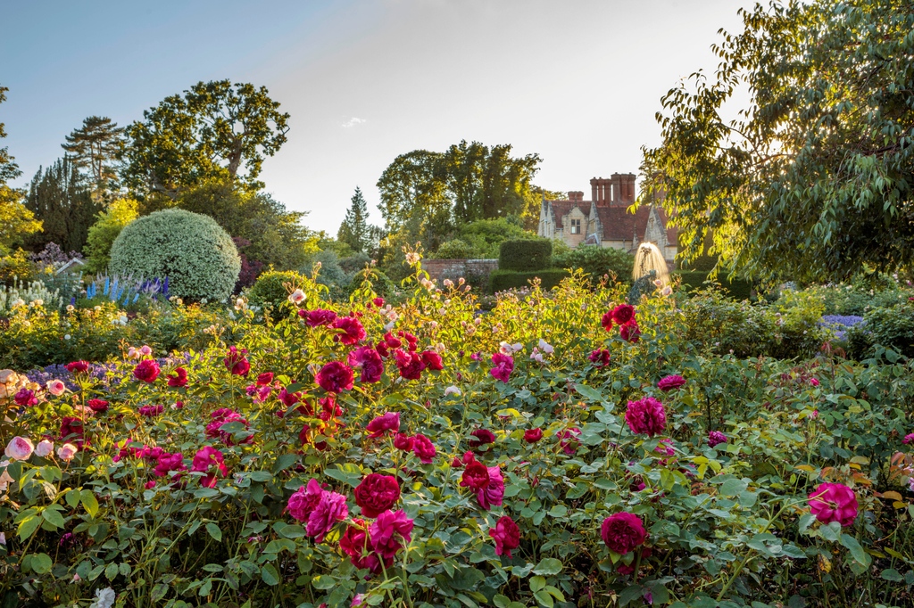 We’re taking part in @the_rhs Partner Garden of the Year competition – the theme is ‘Feel Good’. If our Garden has brought you joy, whether you’ve visited in person or been a part of our digital family, we’d be grateful for your vote: rhs.org.uk/pgoty #RHSPartnerGarden