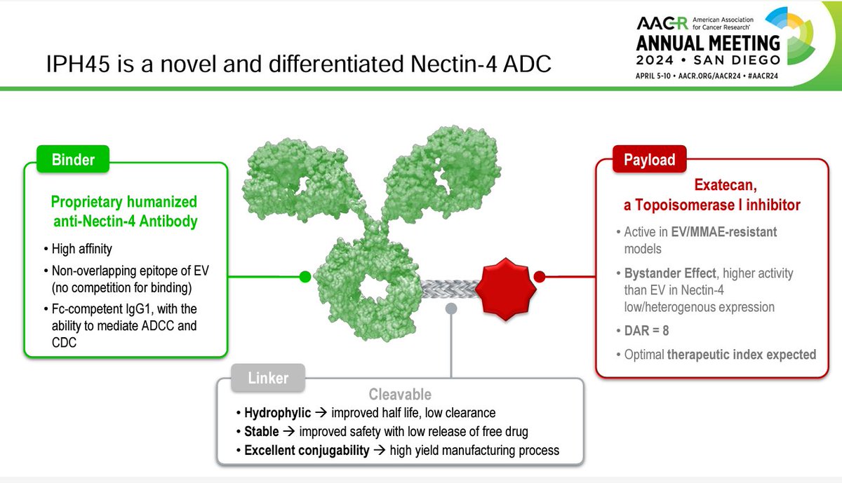 $IPH.PA anti-Nectin-4 ADC IPH45. Let's hear it for topo1 inhibitor payloads and hydrophilic, cleavable linkers (+bonus point for 'bystander effect') #AACR24