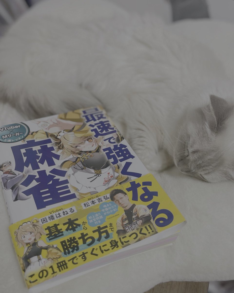 ねるちゃんから『VTuber×Mリーガー 上達レッスン 最速で強くなる麻雀』送っていただきました!📕
麻雀エンジョイ勢の私もこれを読めば強くなっちゃうって…コト!?
イラストみてくれてて嬉しい!!
ねるちゃんありがとう(๑′ᴗ‵๑)💛✨