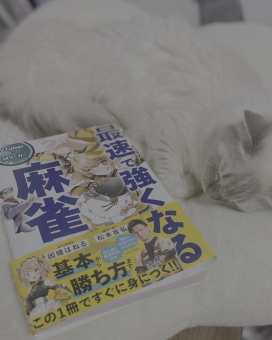 ねるちゃんから『VTuber×Mリーガー 上達レッスン 最速で強くなる麻雀』送っていただきました!📕
麻雀エンジョイ勢の私もこれを読めば強くなっちゃうって…コト!?
イラストみてくれてて嬉しい!!
ねるちゃんありがとう(๑′ᴗ‵๑)💛✨ 