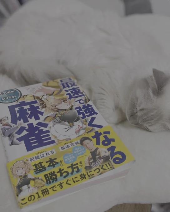 ねるちゃんから『VTuber×Mリーガー 上達レッスン 最速で強くなる麻雀』送っていただきました!📕
麻雀エンジョイ勢の私もこれを読めば強くなっちゃうって…コト!?
イラストみてくれてて嬉しい!!
ねるちゃんありがとう(๑′ᴗ‵๑)💛✨ 
