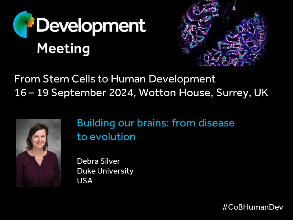 Debra Silver will be speaking at our Journal Meeting in September. View the programme, submit an abstract and register at biologists.com/meetings/human… #CoBHumanDev Early-bird deadline is 3 May
