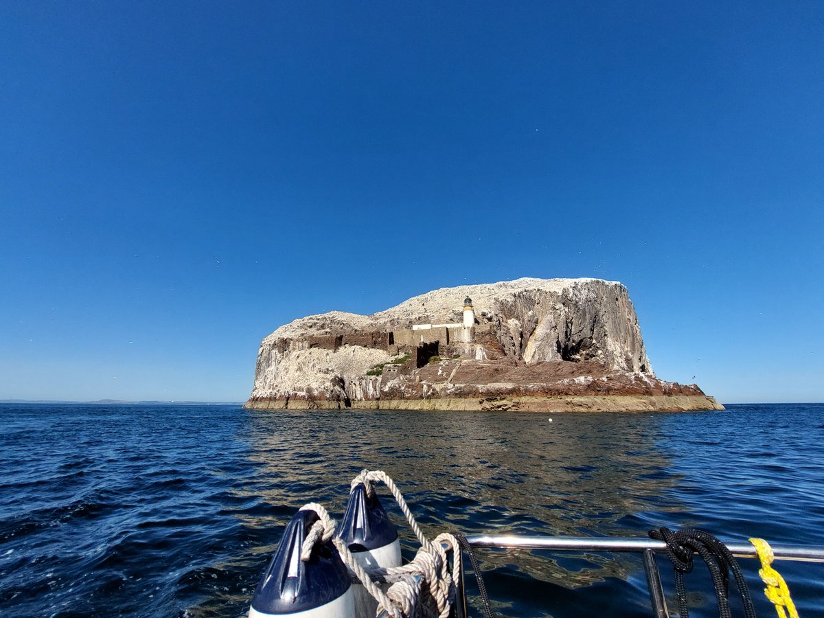 Biosecurity for LIFE (@biosecuritylife) on Twitter photo With the promise of sunshine and seabirds just around the corner we know many of you will be thinking about getting back out on the water. But please donāt forget about biosecurity! #BiosecurityforScotland #Seabirds #Island <a href="/NatureScot/">NatureScot</a> <a href="/scotgovnetzero/">Net Zero Scotland</a> #NatureRestorationFund With the promise of sunshine and seabirds just around the corner we know many of you will be thinking about getting back out on the water. But please donāt forget about biosecurity! #BiosecurityforScotland #Seabirds #Island <a href="/NatureScot/">NatureScot</a> <a href="/scotgovnetzero/">Net Zero Scotland</a> #NatureRestorationFund