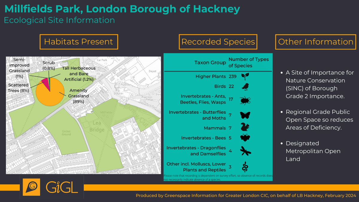 Millfields is the largest Hackney Buzzline park with the highest ratio of biodiversity-poor grassland. 89% of the park is mown. But things are changing with 0.6 ha restored to long grass and trees in 2022, 6 tree biomes created last year, and 2.8k m2 of meadow sown this spring.