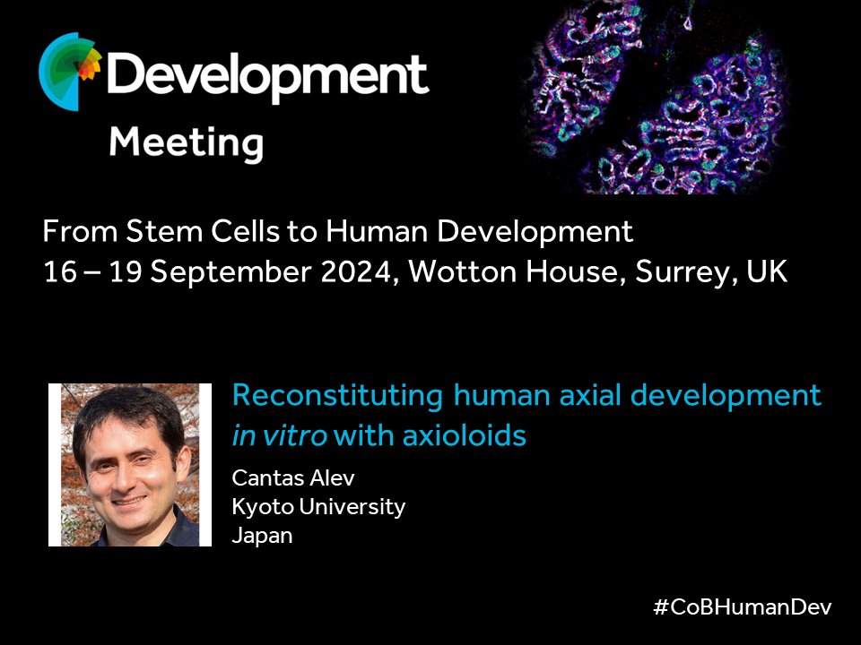 Cantas Alev will be speaking at our Journal Meeting in September. View the programme, submit an abstract and register at biologists.com/meetings/human…
#CoBHumanDev
Early-bird deadline is 3 May