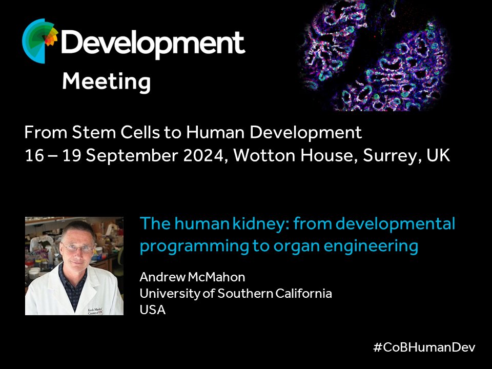 Andrew McMahon will be speaking at our Journal Meeting in September. View the programme, submit an abstract and register at biologists.com/meetings/human… #CoBHumanDev Early-bird deadline is 3 May