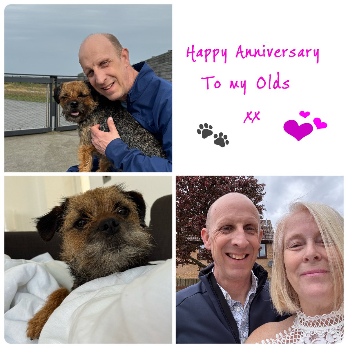 Jeees I knew they was old but 31 years married that’s like a billion dog years😉 I will do my best to make their day memorable 🤣🤣🤣 #happyanniversary #btposse 💕💕🐾🐾
