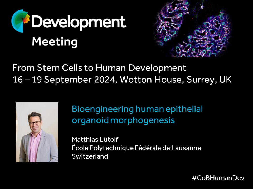 Matthias Lutolf will be speaking at our Journal Meeting in September. View the programme, submit an abstract and register at biologists.com/meetings/human…
#CoBHumanDev
Early-bird deadline is 3 May