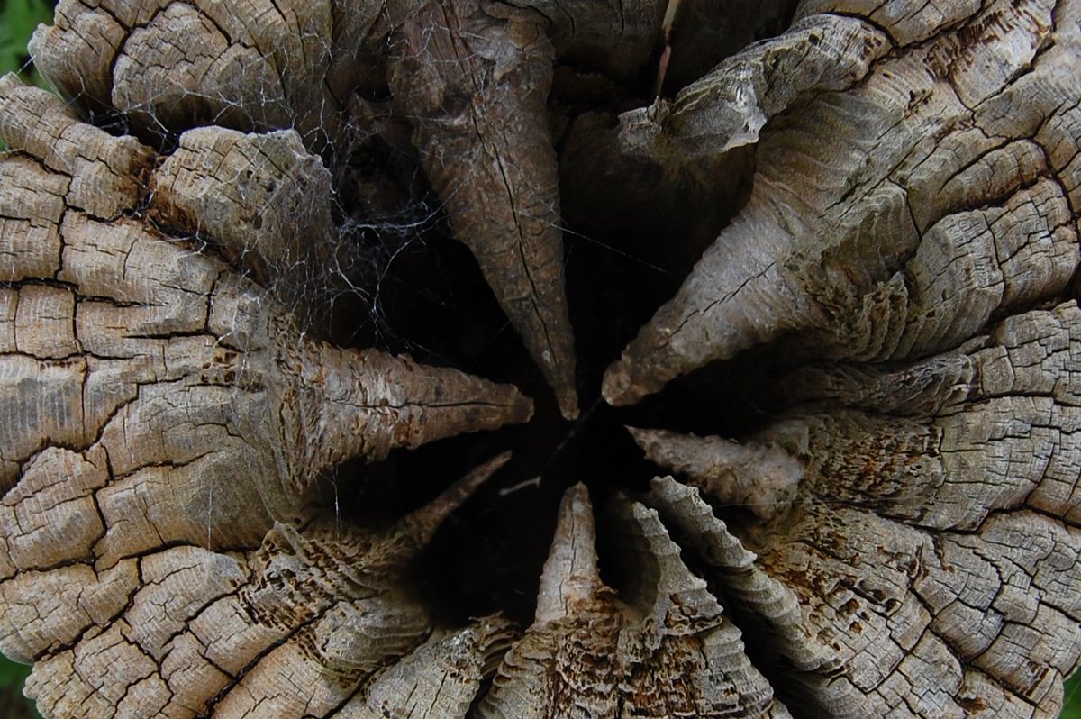 _doitproperly_'s tweet image. 