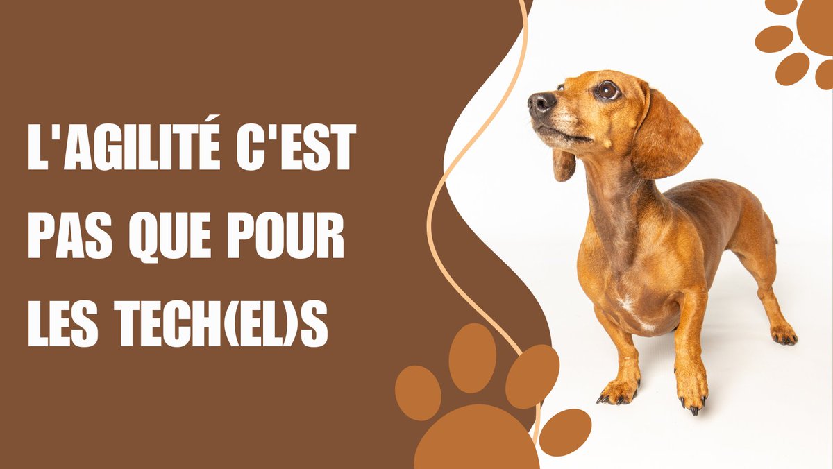 En attendant de vous partager le thème de l'édition 2024, nous vous proposons une série d'illustrations avec les thèmes auxquels vous avez échappé cette année. Numéro 9/9 'L'agilité c'est pas que pour les tech(el)s' 🐕 Un avis ? N'hésitez pas à nous laisser un commentaire 🖋