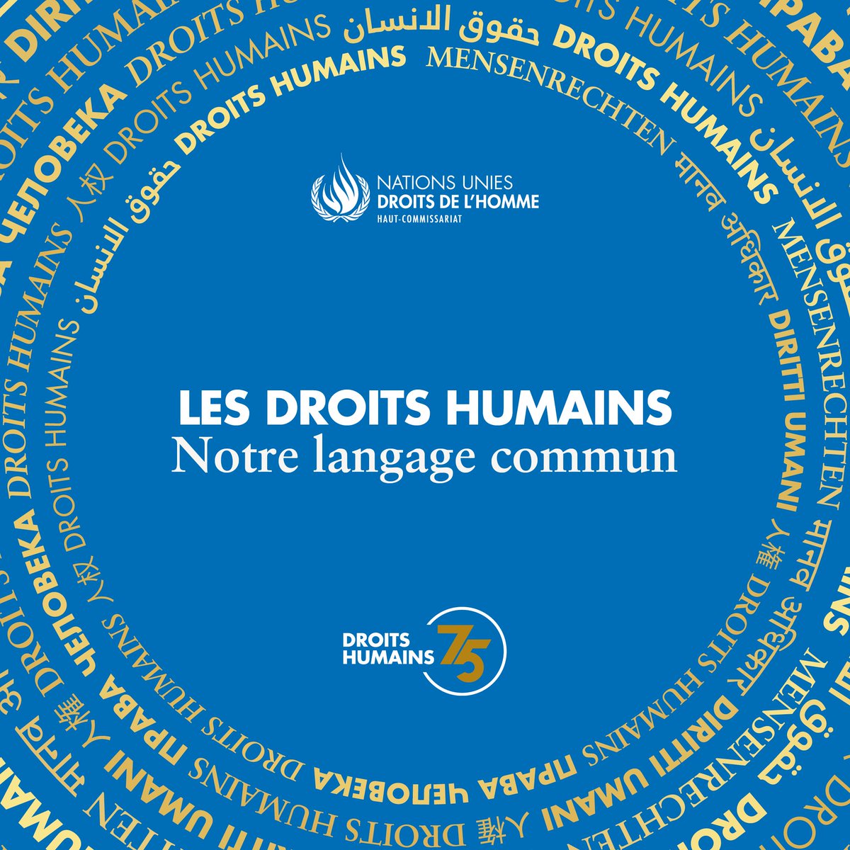 Déclaration des Droits humains : quel article concerne le mariage et la famille? 🤔 L'article 16 garantit notamment le respect de la liberté et de la dignité des personnes dans le domaine de la vie privée et familiale. 🏡💑 Lisez la suite 👉croix-rouge.lu/fr/?p=134007