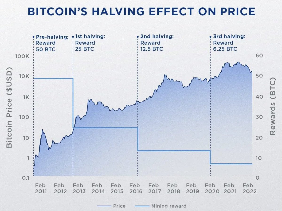BTC_Chopsticks's tweet photo. 🔵 The Evolution of #BitcoinHalvings 🟡
🔹 The First Bitcoin Halving (November 28, 2012)
Block reward: 50 ➡️ 25 #BTC
10M BTC issued
Price: ~$12
Mt. Gox dominated
Narrative: payments, legal & illicit
WordPress accepts Bitcoin
Andreas Antonopoulos speaks on Bitcoin neutrality https://t.co/SvlUEf0H0m