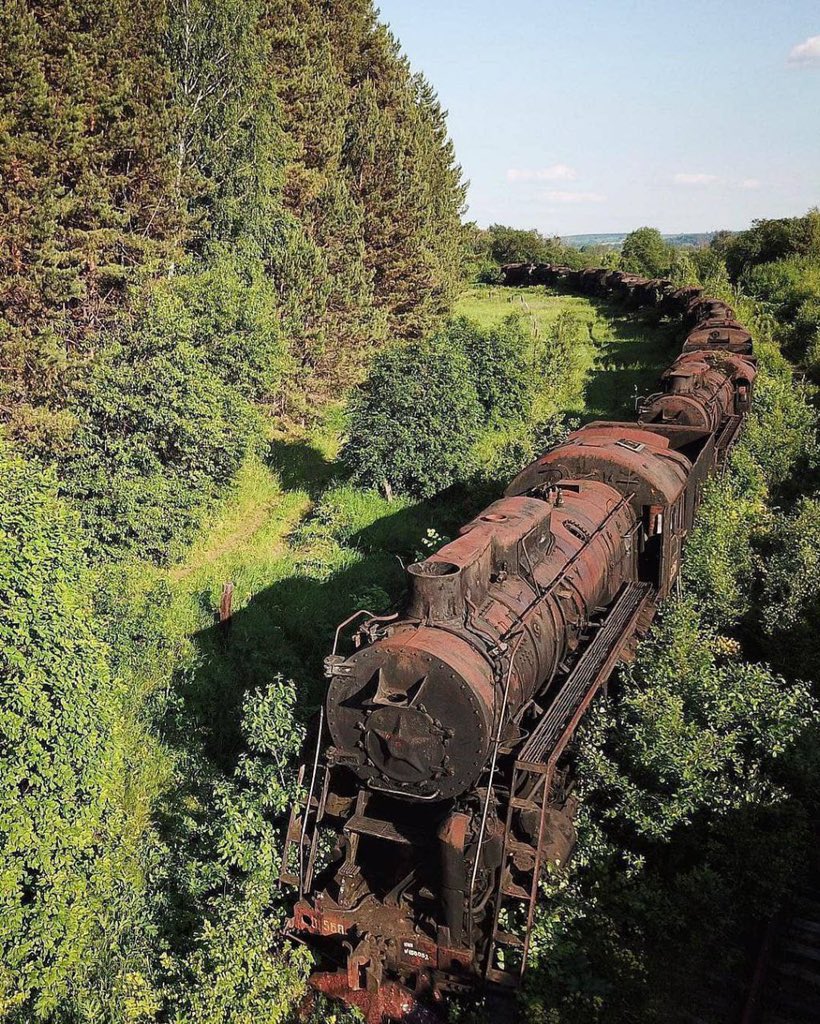 Abandoned train in nature.