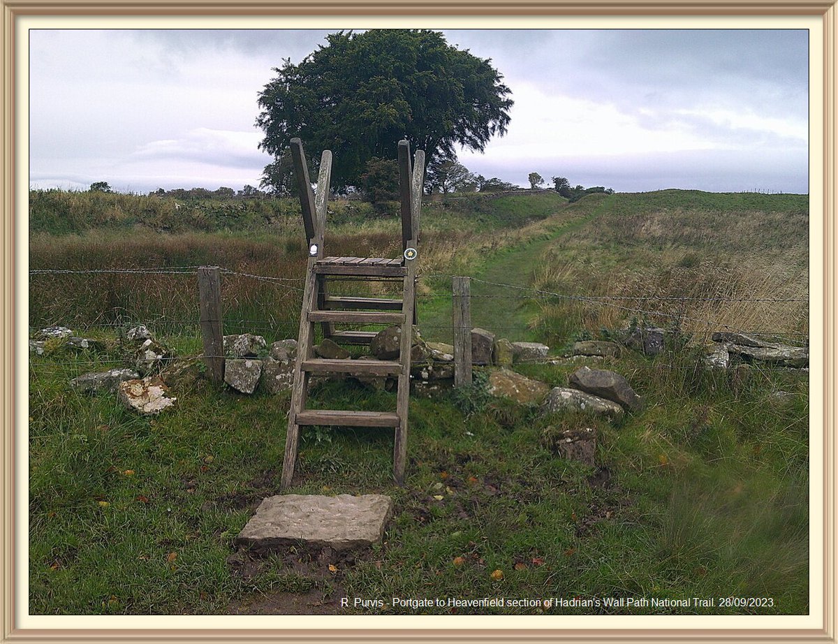 So many favourite spots on Portgate to Heavenfield section of Hadrian's Wall Path National Trail. Going to sign off with pictures of some of them. Wooden ladder A stile #8, beside the north ditch at road to Keepwick Fell, in Wall mile 25.