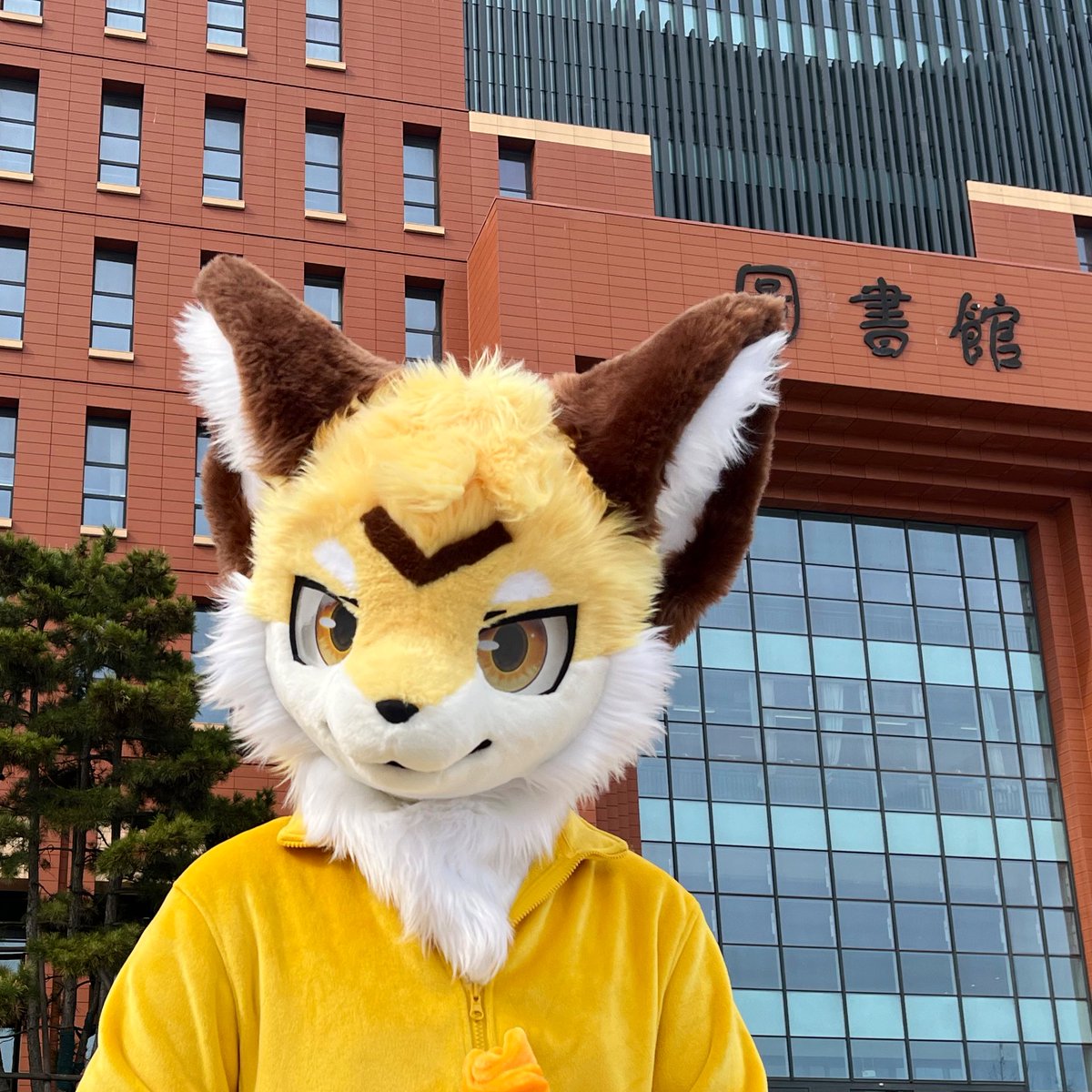 是向量哦！ #FursuitEveryday