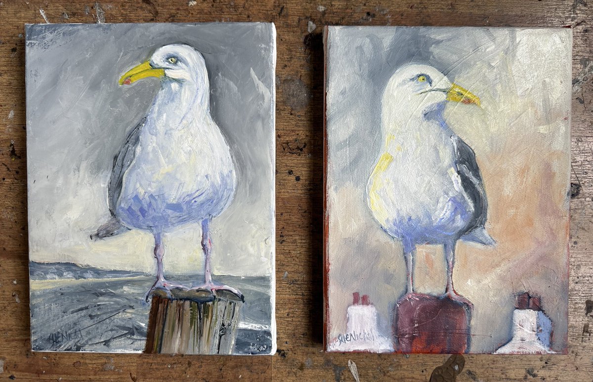 #HerringGulls #seaside #oils #birds #rooftops #seascape. A visit to the #coast would not be the same without them. 7x10” #linen