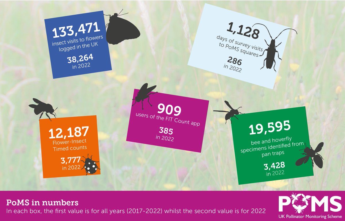 Data from the first four years of @PoMScheme have been published via the UKCEH Environmental Information Data Centre, with subsequent years to follow Find out more: ukpoms.org.uk/data Data from nature, for nature #DataNature 💚
