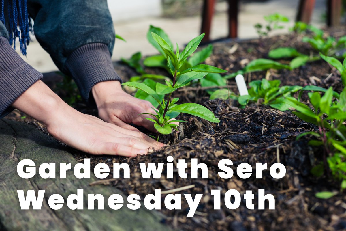National Gardening Day is approaching, on 14 April. Anyone else getting dug in? Like the good folks at SERO, planting veggies this morning at three sites in Carmarthen, followed by coffee and cake of course! @Carmtogether @SFarms_Gardens