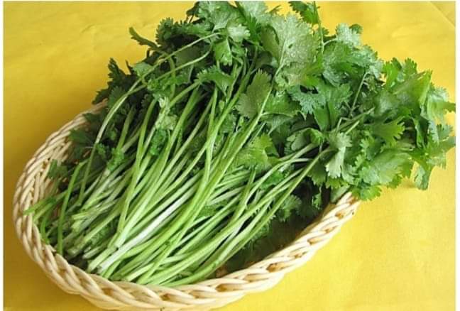 Хоолондоо байнга  хэрэглээрэй.

Цус өтгөрвөл: Хоолондоо байнга яншуй хэрэглэдэг хүмүүс цусны өтгөрөл, өвчинд бараг өртдөггүй. Яншуй нь цусыг цэвэрлэдэг нарийн ногоо юм. Хятадууд яншуй "хатан ногоо" гэдэг
⬇️