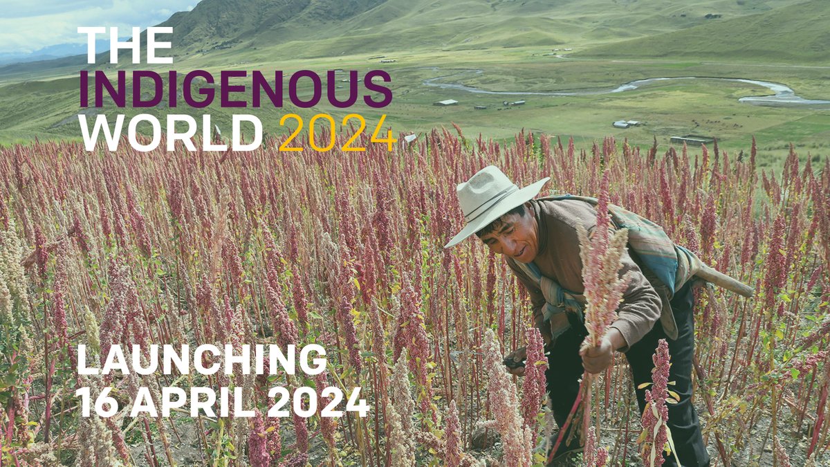 📢 We are excited to announce the launch of The Indigenous World 2024 on Tues. 16 April at 13:15 (NYC time) at the #UNPFII2024. 👉This 38th annual edition will be available online in English & Spanish on 16 April here: bit.ly/3TRhekf #IndigenousPeoples