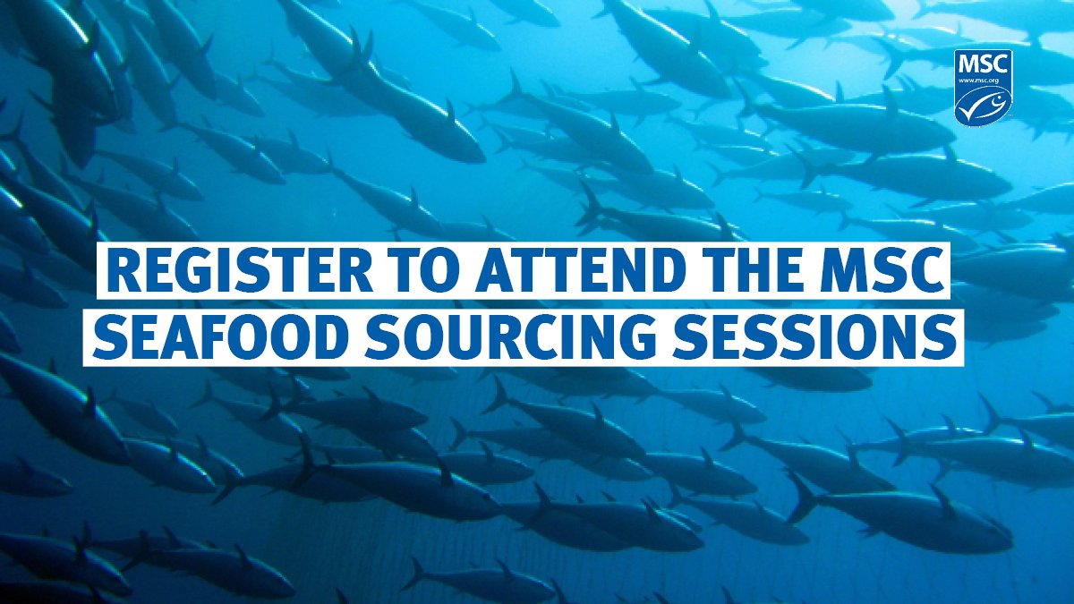 Seafood buyers! Come to our ‘Seafood Sourcing Sessions,’ to hear more about the fishery landscape & supply chains for MSC certified species. 🐟 We have 4 sessions on.⬇️ 🔹Atlantic tuna 🔹NEA & Icelandic Herring 🔹Sustainable Whitefish 🔹Sardines Read more:…