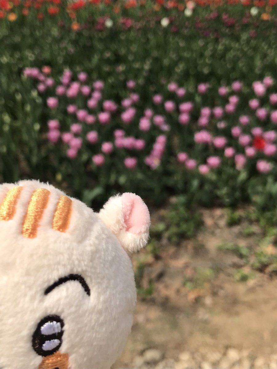 ... 🌷ㅋ