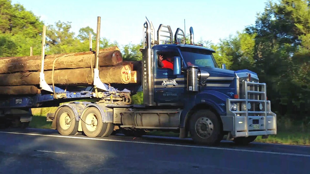 Fire-impacted forests, home to koalas and greater gliders are targeted for logging by @ChrisMinnsMP across the #GreatKoalaNP 📷 01-04-24 satellite #SaveSheasNob #SaveKangarooRiver Today at #SaveCloudsCreek Glider Reviver - Log truck driver hauling #StyxRiver glider habitat.