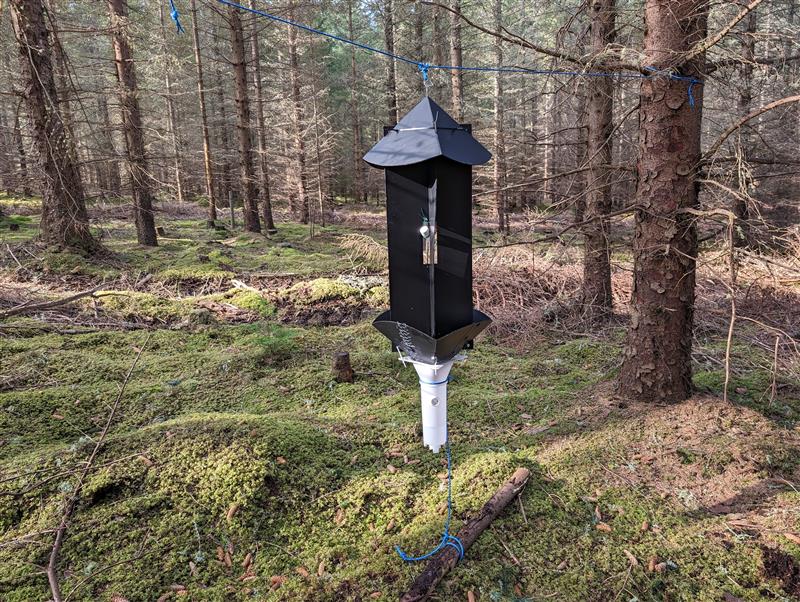 Scottish Forestry is urging the forest industries to be their extra pair of eyes and familiarise themselves with symptoms of the eight toothed spruce bark beetle (Ips typographus). Full story: forestry.gov.scot/news-releases/… #treehealth #treepest #treedisease