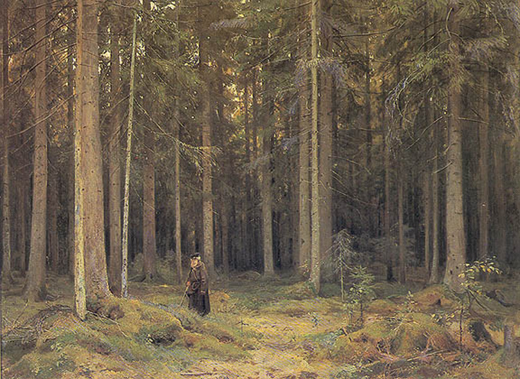 Countess Mordvinov's Forest, 1891 Get more Shishkin 🍒 linktr.ee/shishkin_artbot