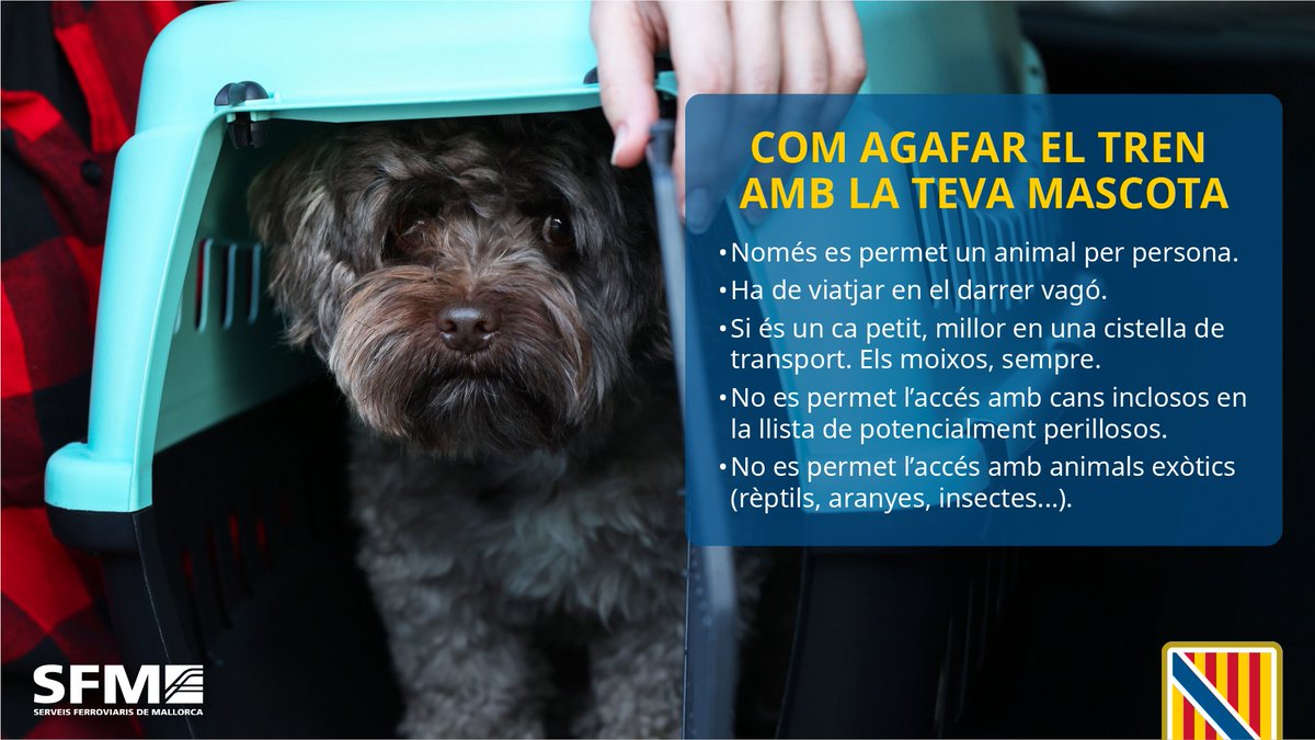 A partir d'aquest divendres, dia 12, entra en vigor la normativa d’SFM que permet viatjar en tren i metro amb cans i altres animals de companyia ℹ️ Consulta més informació sobre la normativa i recomanacions a tn.caib.es/MascotesSFM