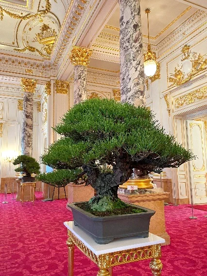 迎賓館赤坂離宮 Akasaka Palace on X: 