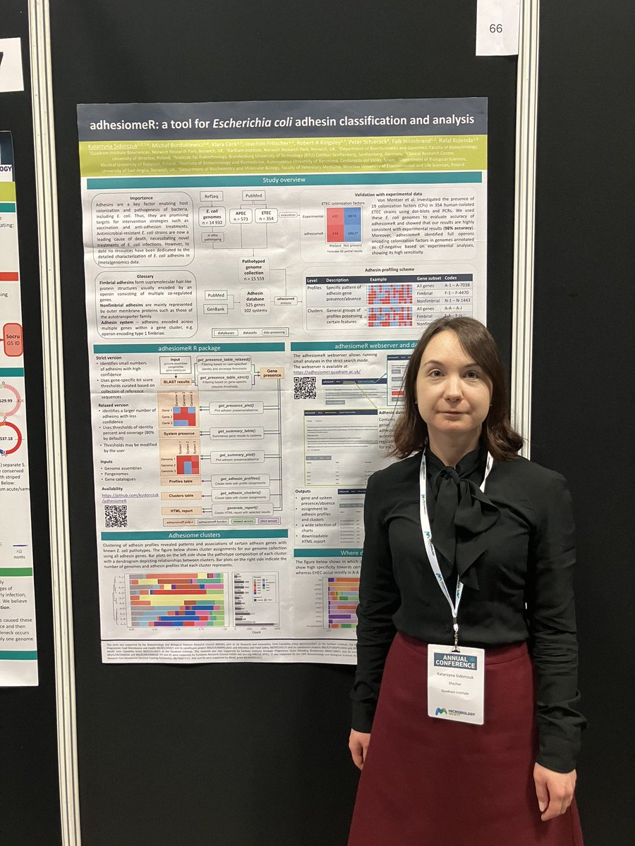 Are you interested in adhesins and E. coli? I’m presenting our adhesiomeR tool at #Microbio24 today, come visit poster no. 66 to have a chat with me! 
#ecoli #adhesins #womeninSTEM