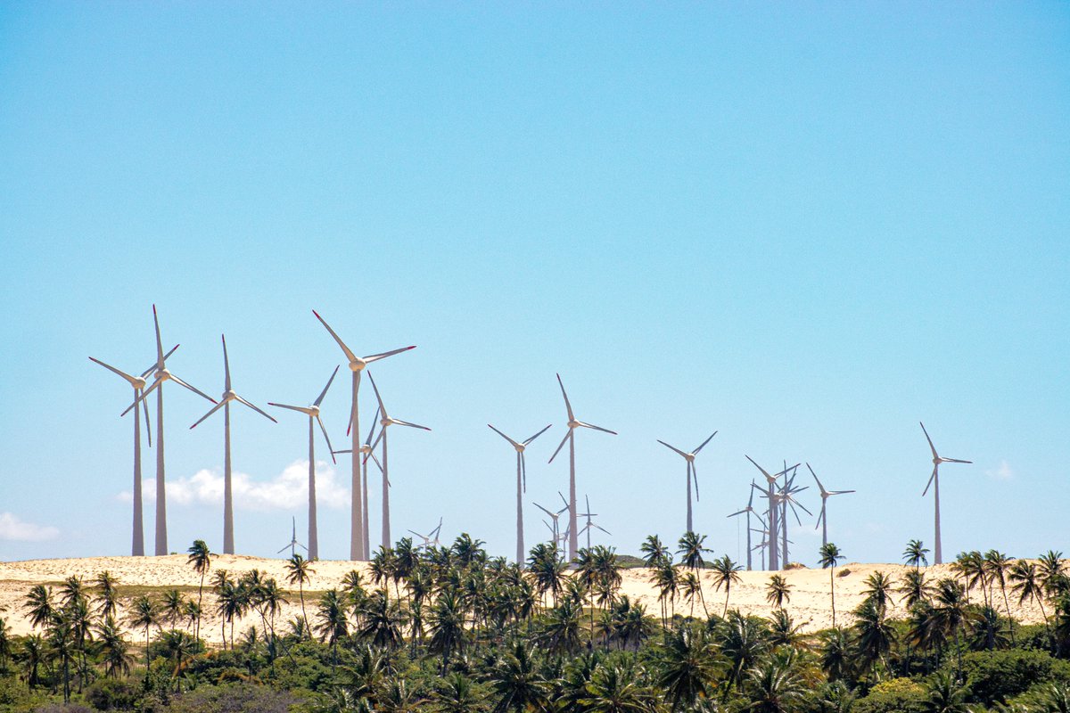 📢New article: Toward solving the global green–green dilemma between #windenergy and #bats conservation. Intl author team highlights the most urgent issues and suggests solutions. Thank you team 🇦🇺🇧🇷🇬🇧🇺🇸🇲🇼🇹🇼🇫🇷 🇩🇪🇪🇺 pic: Wind turbines from🇧🇷 (Paladini) academic.oup.com/bioscience/adv…